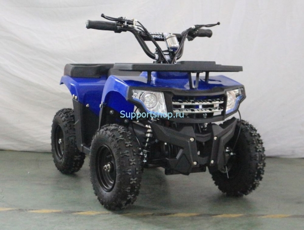 Квадроцикл GreenCamel Гоби K24 (36V 800W R6 Цепь)