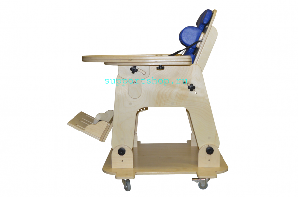 Функциональное кресло для детей с ОВЗ (платформа на колесиках и столешница входит в комплект) RG149