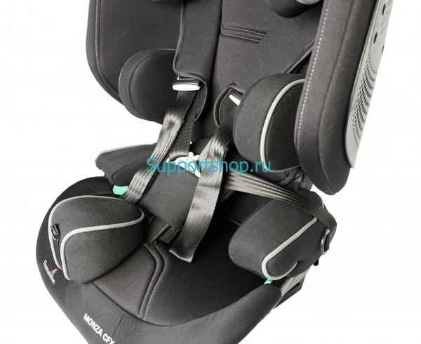 Автокресло для детей с ДЦП Thomashilfen RECARO Monza CFX Reha