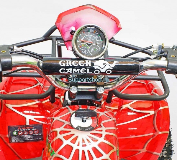 Квадроцикл GreenCamel Гоби K21 (36V 800W R6 Цепь)