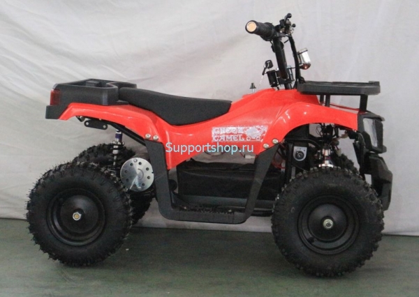Квадроцикл GreenCamel Гоби K24 (36V 800W R6 Цепь)