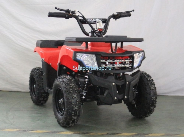 Квадроцикл GreenCamel Гоби K24 (36V 800W R6 Цепь)