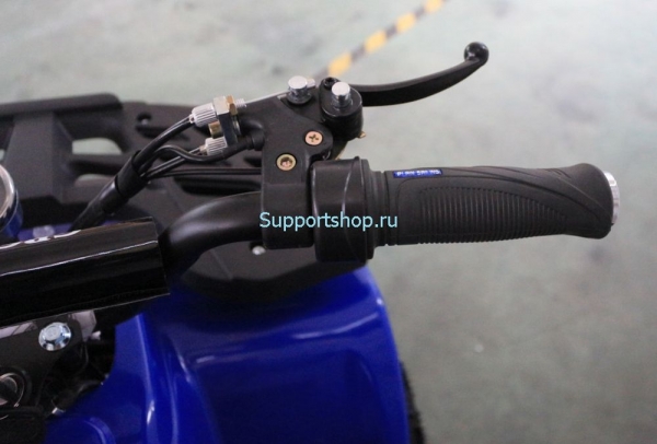 Квадроцикл GreenCamel Гоби K24 (36V 800W R6 Цепь)