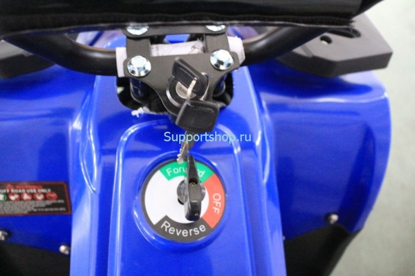 Квадроцикл GreenCamel Гоби K24 (36V 800W R6 Цепь)