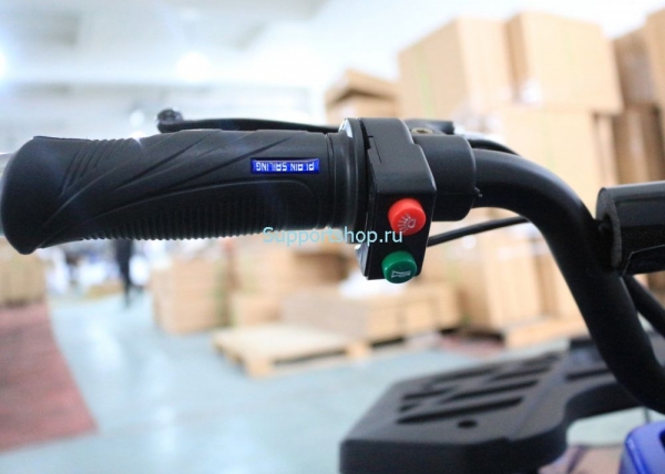Квадроцикл GreenCamel Гоби K24 (36V 800W R6 Цепь)