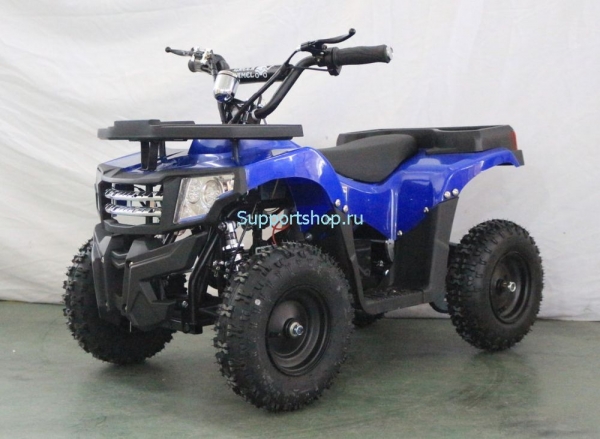 Квадроцикл GreenCamel Гоби K24 (36V 800W R6 Цепь)