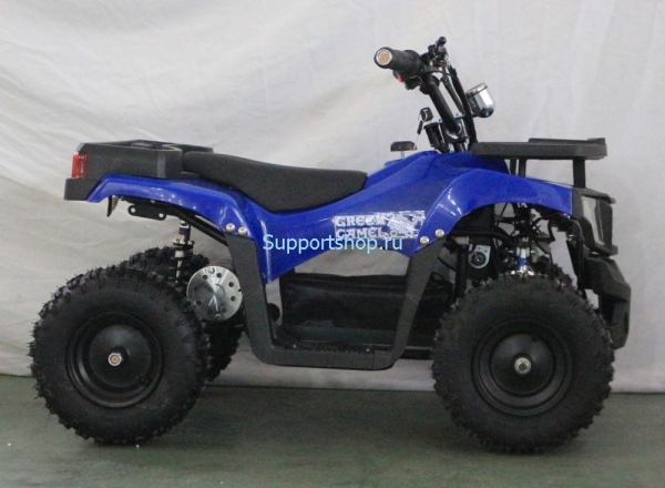 Квадроцикл GreenCamel Гоби K24 (36V 800W R6 Цепь)