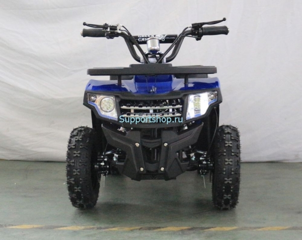 Квадроцикл GreenCamel Гоби K24 (36V 800W R6 Цепь)