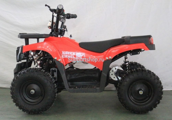 Квадроцикл GreenCamel Гоби K24 (36V 800W R6 Цепь)
