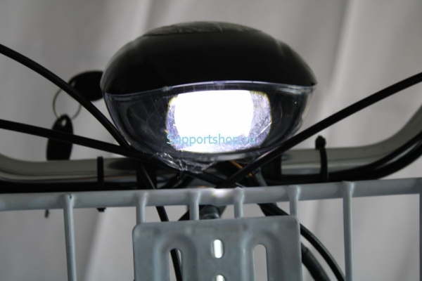 Электровелосипед GreenCamel Трайк-24 V2 (R24 250W 48V12Ah)