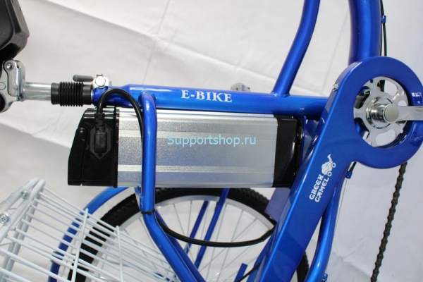 Электровелосипед GreenCamel Трайк-24 V2 (R24 250W 48V12Ah)