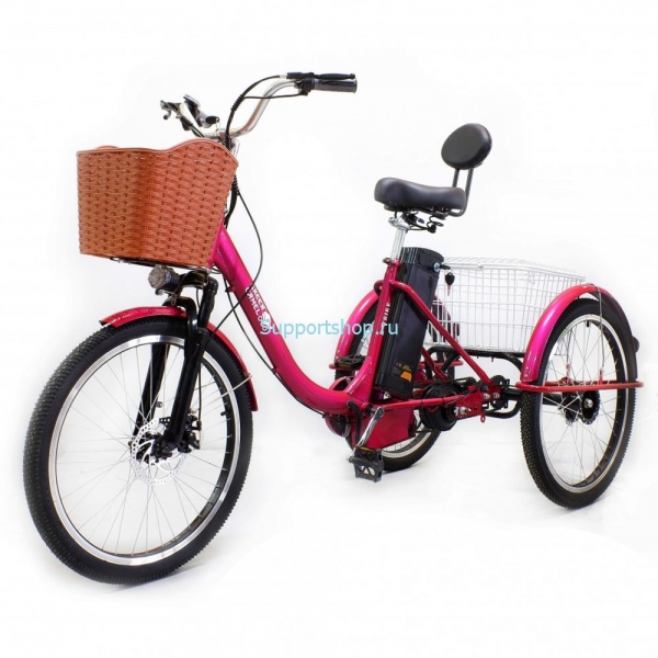 Электровелосипед GreenCamel Трайк-B (R24 500W 48V 20Ah)
