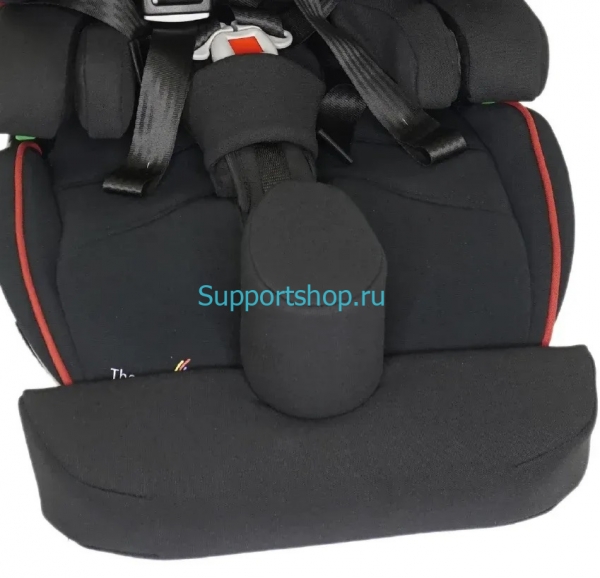 Автокресло для детей с ДЦП Thomashilfen Axkid NEXTKID Reha