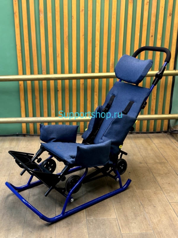 Санки для детей с ДЦП и детей инвалидов 2в1 Raft Bike