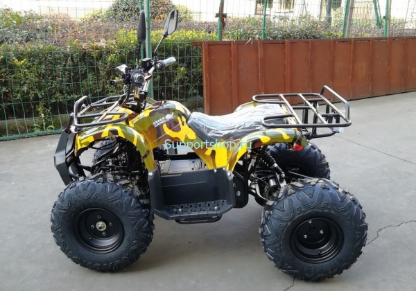 Квадроцикл GreenCamel Атакама T320 (48V 1000W R8)