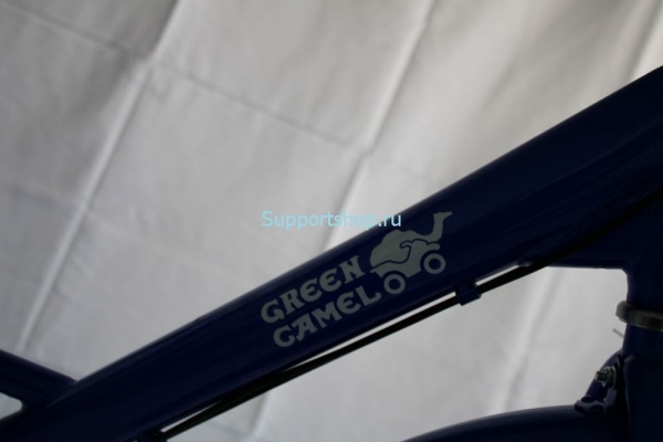 Электровелосипед GreenCamel Трайк-24 V2 (R24 250W 48V12Ah)