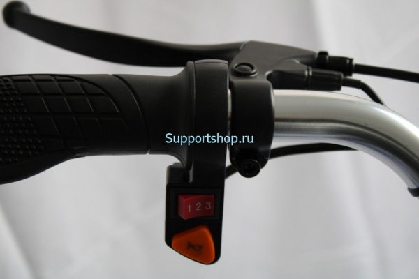 Электровелосипед GreenCamel Трайк-24 V2 (R24 250W 48V12Ah)