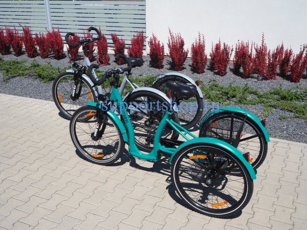 Реабилитационный трёхколёсный велосипед для детей и подростков с ДЦП LIW HOP 24 TRIKES
